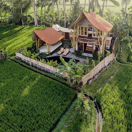 Arapan Ubud Eco Villa Экстерьер фото