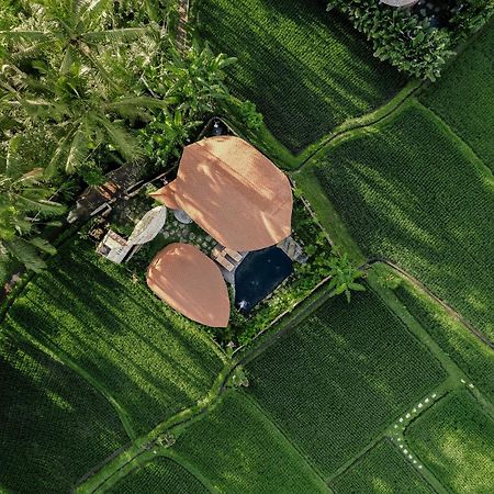 Arapan Ubud Eco Villa Экстерьер фото
