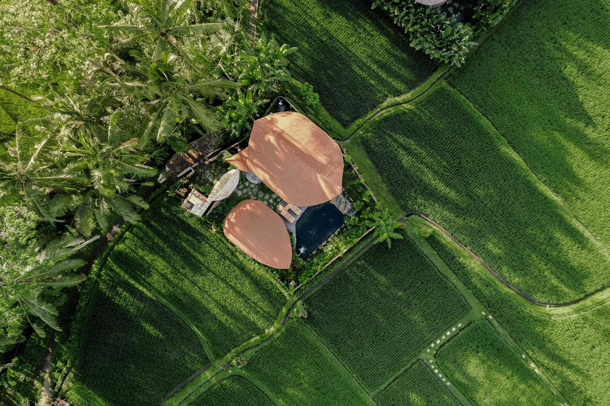 Arapan Ubud Eco Villa Экстерьер фото